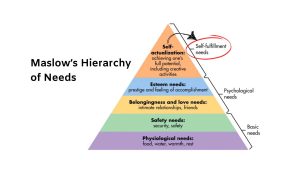 Maslow's Hierarchy of Needs Infographic