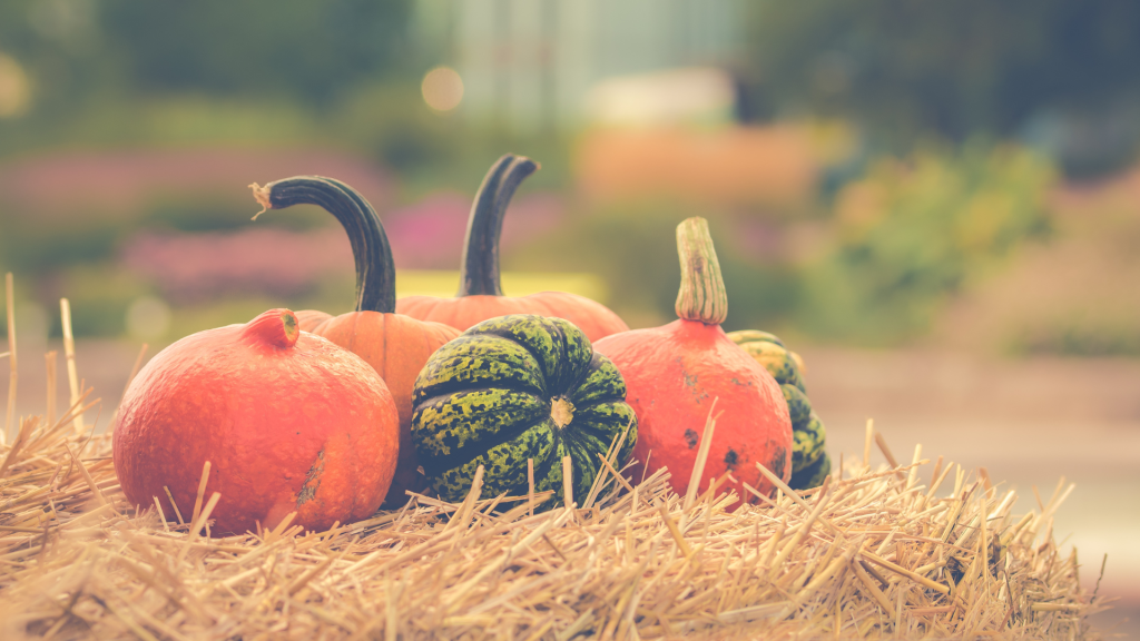 7 Alternatives To Halloween For Christians